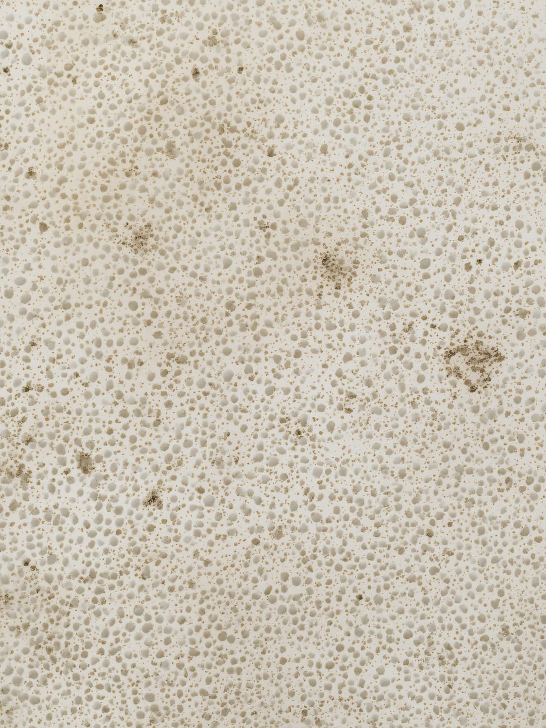Close-up of porous, honed limestone in warm ivory tones